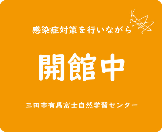 キッピー山のラボ 三田市有馬富士自然学習センター 有馬富士公園にある しぜん たいけん ミュージアム