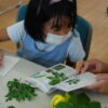 Thumbnail of post image 144