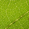 Thumbnail of post image 024