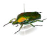 Thumbnail of post image 019