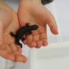 Thumbnail of post image 166