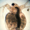 Thumbnail of post image 125