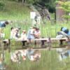 Thumbnail of post image 140