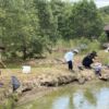 Thumbnail of post image 129