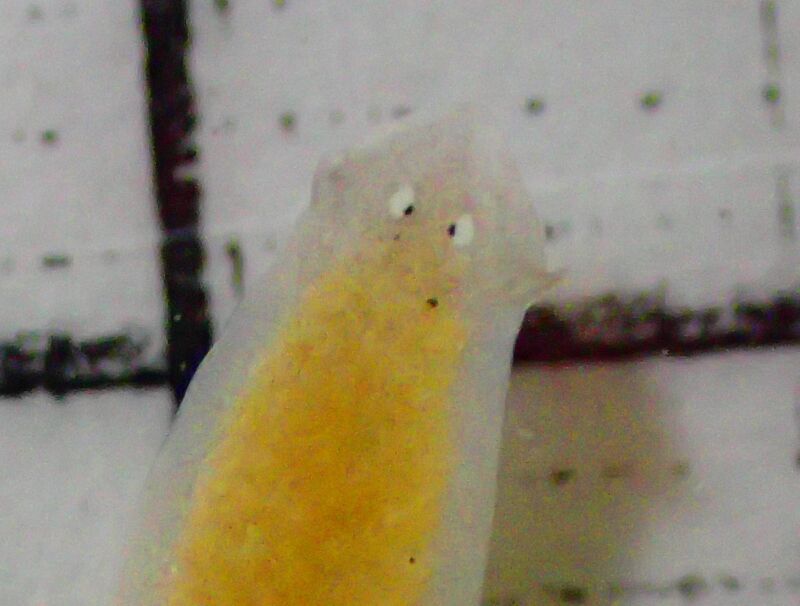 Thumbnail of post image 082