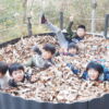 Thumbnail of post image 178