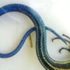 Thumbnail of post image 167