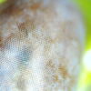 Thumbnail of post image 178