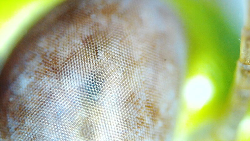 Thumbnail of new posts 190