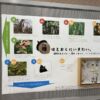 Thumbnail of post image 016