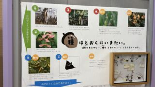 Thumbnail of new posts 121
