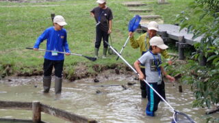 Thumbnail of new posts 039