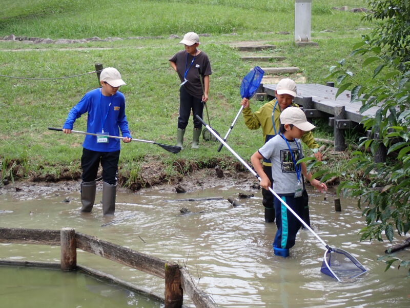 Thumbnail of new posts 164