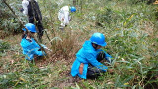 Thumbnail of new posts 190