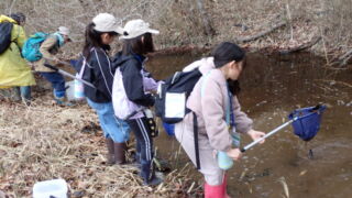 Thumbnail of new posts 131