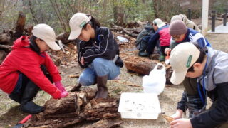 Thumbnail of new posts 015